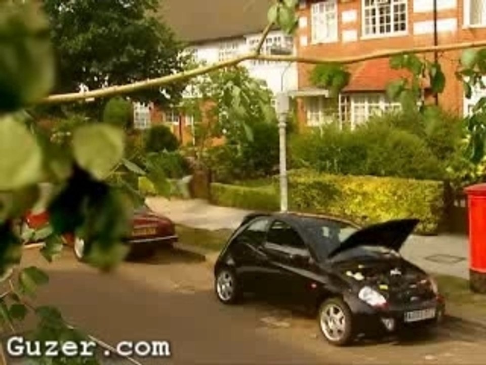 Ford SportKa - Pigeon