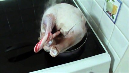 Your First Turkey! Easy Roast Turkey for Beginners for the Holidays!