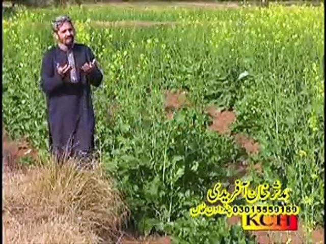 Patti patti phool phool