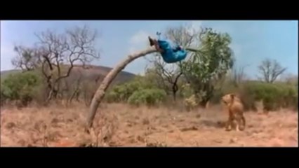 watch how this man save himself,lion runs away guy become safe