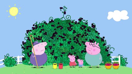 Download Video: 캔디 Peppa Pig - The Blackberry Bush (Clip) Praščić Pepa