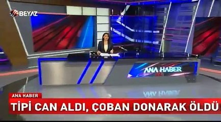 Beyaz Tv Ana Haber 13.11.2015