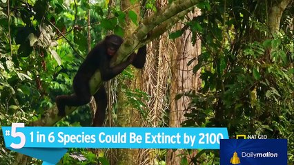 Top 5 Endangered Animal Facts