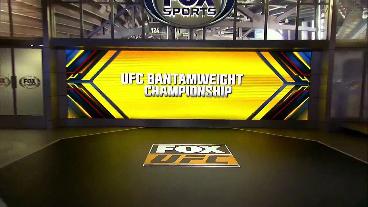 Ronda Rousey vs. Holly Holm - UFC 193 Highlights