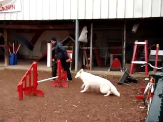 entrainement a l'aca avec joye