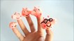 Fun Peppa Pig Lollipops Finger family Nursery Rhyme Song Family
