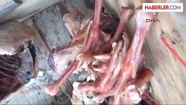 Kaz mevsimi başladı hayırlı uğurlu olsun vatana milletimize