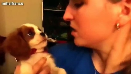 Funny Cats And Dogs Hate Kisses Compilation 2014 [NEW]