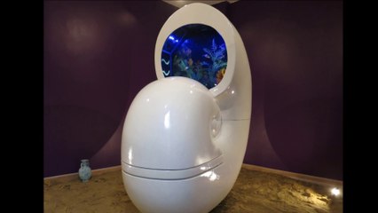 Aquarium WC nautile Des toilettes Design impressionnantes  Flush the toilet tank, not the fish !