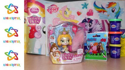 Peppa Pig Surprise toys, Palace Pets, Disney puppy Collector TV