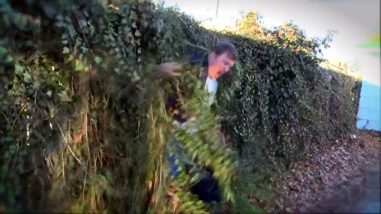 Vine Monster America