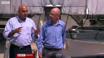 Fish Farm Thrives In Middle Of Egypts Desert