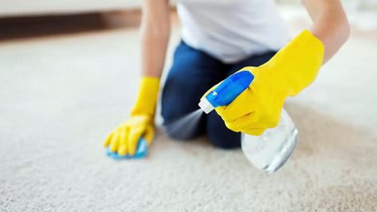House Cleaning Camden TN 931-209-2974