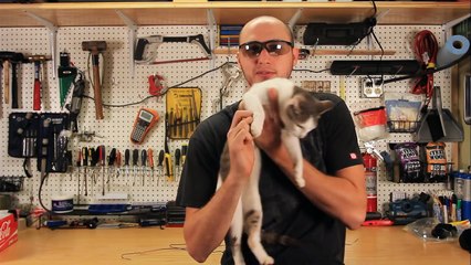 DIY Cat Toys - How to Make a Cat Tent