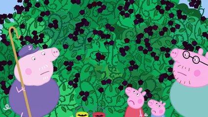 조이 Peppa Pig - The Blackberry Bush (Clip) 小猪佩奇