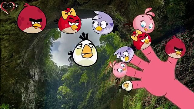 Angry birds Finger Family Collection _ Angry birds Finger Family Songs Nursery Rhymes , Animated cartoon watch online free 2016
