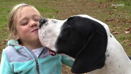 Great dane helps girl with rare disease learn to walk
