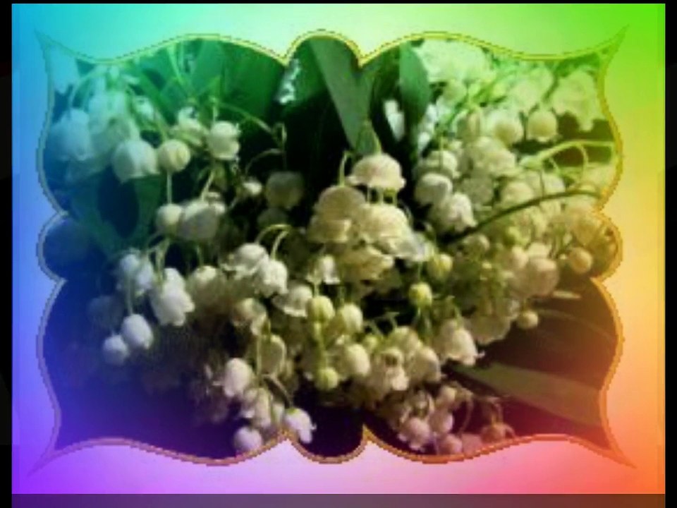 Élysée – Présidence de la République française Entretiens à la suite des attentats de Paris  À la suite des attentats