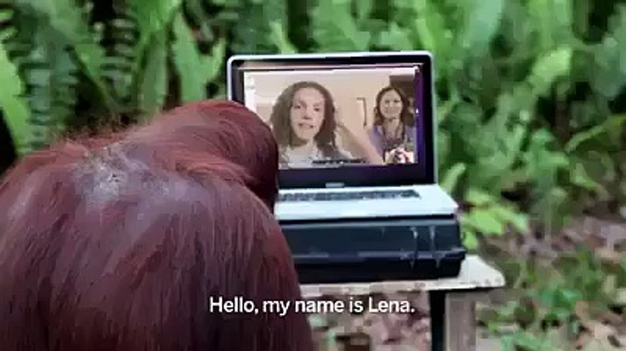 Amazing video