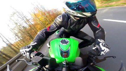 Kawasaki Ninja 300 - Golden Autumn 60fps