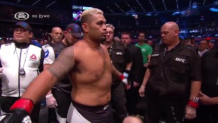Mark Hunt - Antonio Silva, full fight PL (15.11.2015)