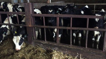 Mobile Capture 9 Nov 2015