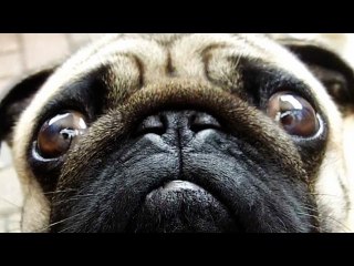 SQUEEZIE-RETROUVERONS-NOUS KIKI  (Astray)