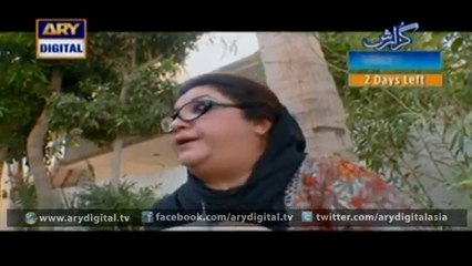 Watch Bulbulay - Episode - 373 - 15th November 2015