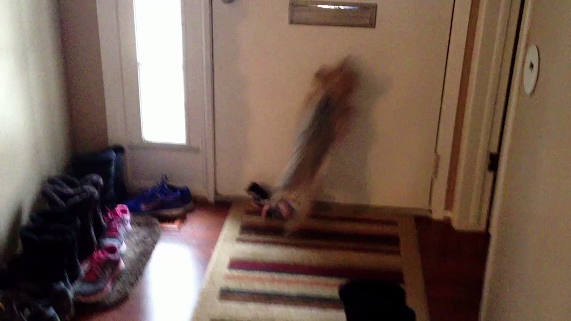 Dog Attacks The Mail Slot