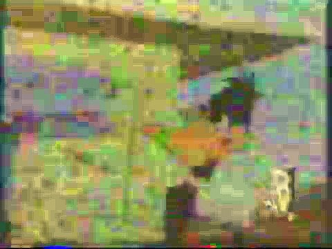 That's Warner Bros. 1995 Kids WB promo