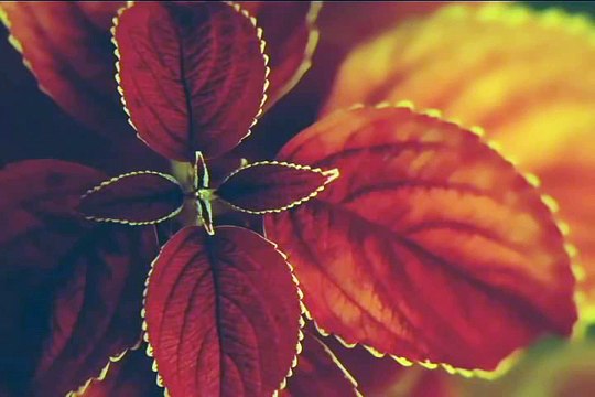 Gunah gar bande se bhi allah mohabbat karte hai by zulfiqar ahmad naqshbandi