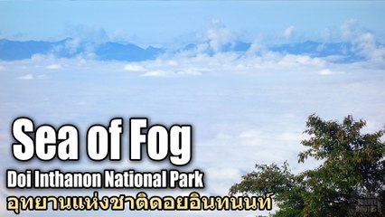 Sea of Fog Doi Inthanon National Park