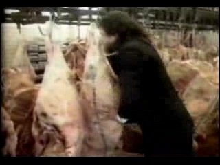 38 Special - Back Where You Belong