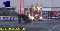 monster truck wheelie