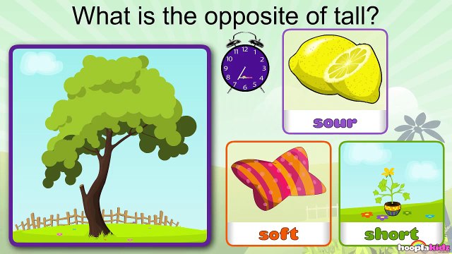 Learn Opposites - Fun and Educational Videos for Kids