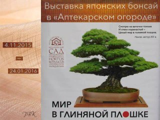 Природа в миниатюре