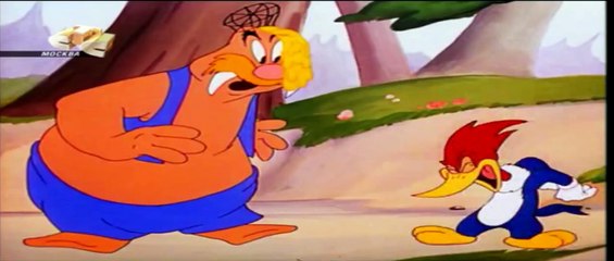 WOODY WOODPECKER - cartoon violence Part 2
