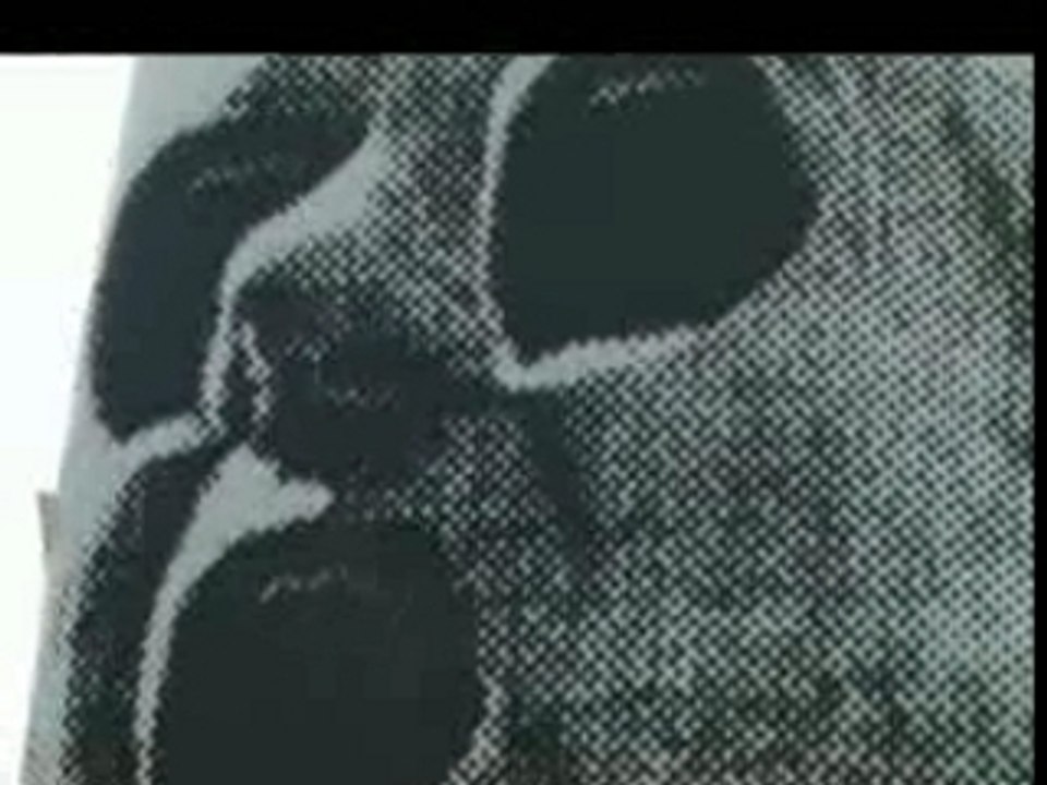 Aux urnes etc.. part4/5. 1er mai 2002