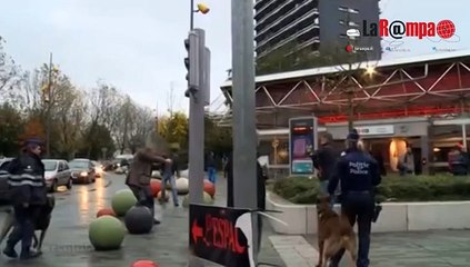 Attentati Parigi: 7 arresti a Molenbeek