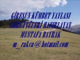 GİRESUN KÜMBET YAYLASI GÖRÜNTÜLERİ