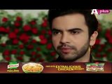 Ye Mera Deewanapan Hai Episode 27 Aplus Drama 15 November 2015