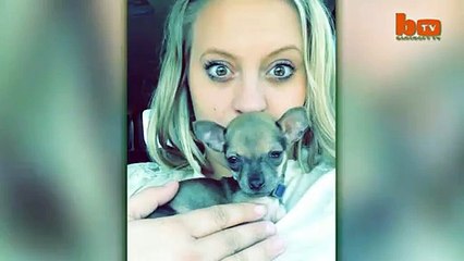 Turbo-Roo Cute Two-Legged Chihuahua Given Wheels To Move Independently-copypasteads.com