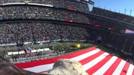 Challenger: Bald Eagle vision