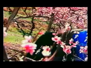 Zara Zara Bahekta Hai