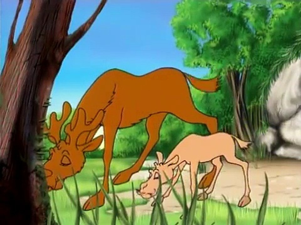 Histoire pour enfants : Boucle dor et les 3 ours