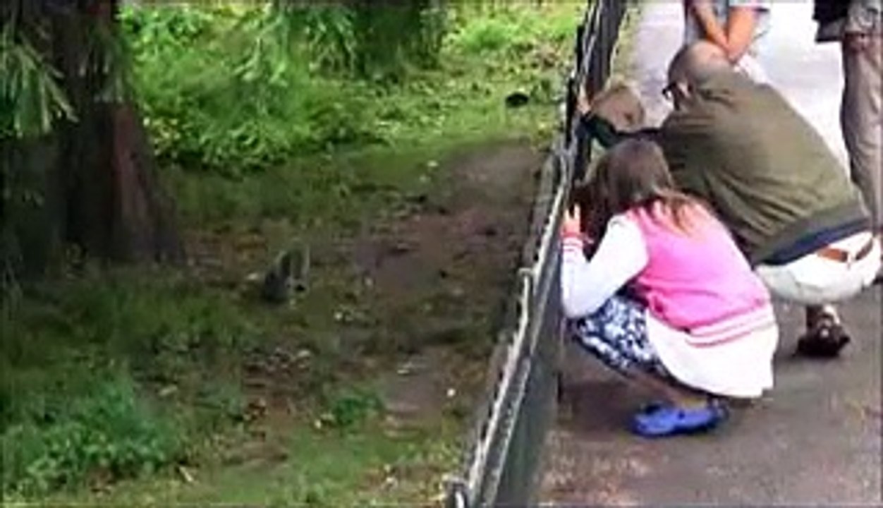 ST JAMES PARK LONDRES INGLATERRA