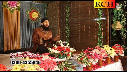 taiba da nzara ho gya by shakeel qadri new naat album 2015