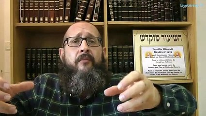 Rav Dynovisz : Attentats Paris. Le mondialisme derrière le terrorisme