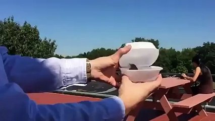 Man Releases A Wild Bird With An Unexpected Outcome