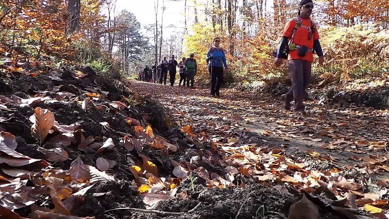 çamyayla doğa yürüyüşü